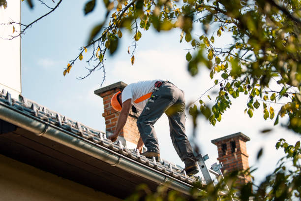 Best Roof Repair Services  in Iron Mountain, MI