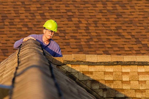 Best Roof Gutter Cleaning  in Iron Mountain, MI